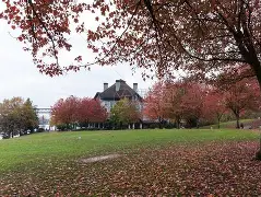 波特兰逆袭国王战，利拉得大Christmas得助主